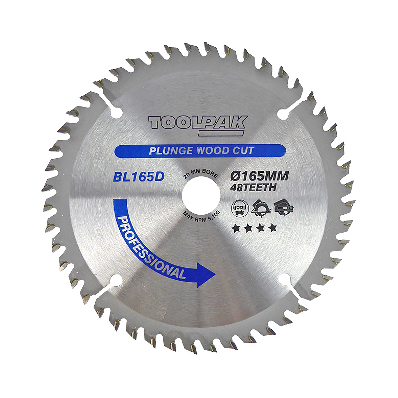 165mm x 20mm x 48T Professional TCT Saw Blade